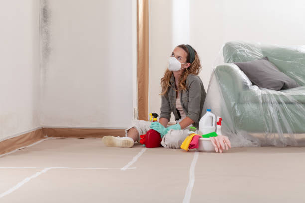 Reliable Black Mold Removal contractor in Camp Hill, PA by WQB Mold Removal